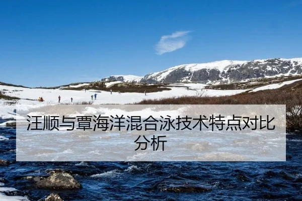 wang-shun-yu-tan-hai-yang-hun-he-yong-ji-shu-te-dian-dui-bi-fen-xi-2-554.jpg