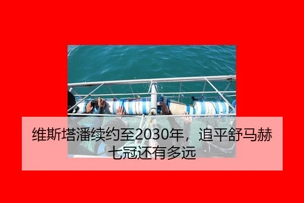 wei-si-ta-pan-xu-yue-zhi-nian-zhui-ping-shu-ma-he-qi-guan-hai-you-duo-yuan-1-497.jpg